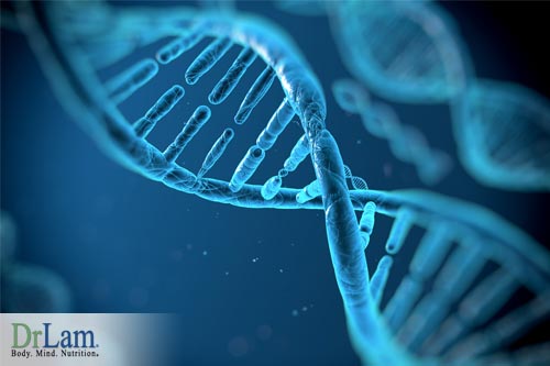 Adrenal gland disorder and conditions such as diabetes can be affected by a DNA methylation disorder