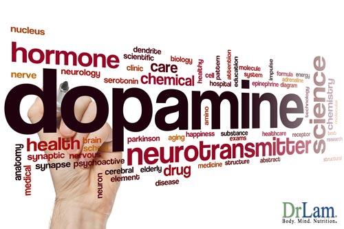 Dopamine release in the body is governed by the biological rhythm