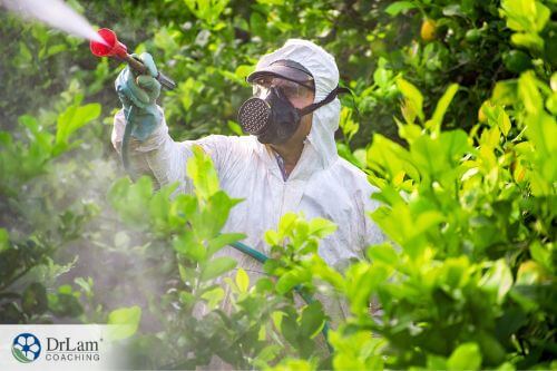 An image of someone in a biohazard suit spraying bushes