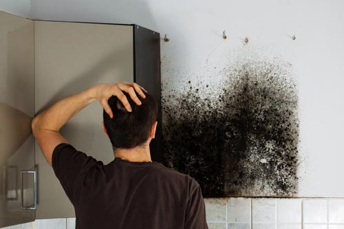 Natural mold removal to help reduce the exposure of mold