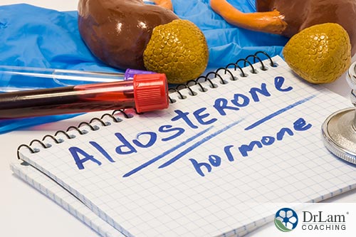 An image of the word aldosterone written on a pad of paper with test tubes and a stethoscope