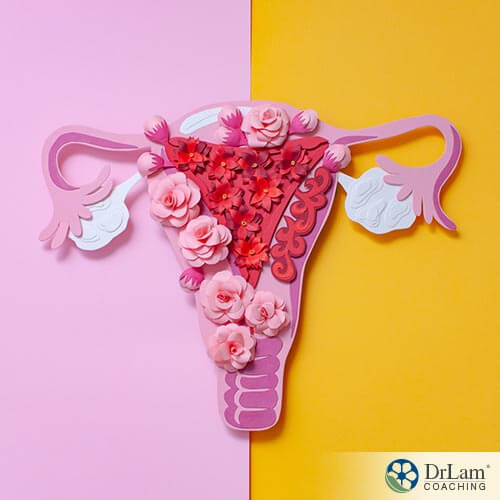 An image of flowers arranged to represent a uterus