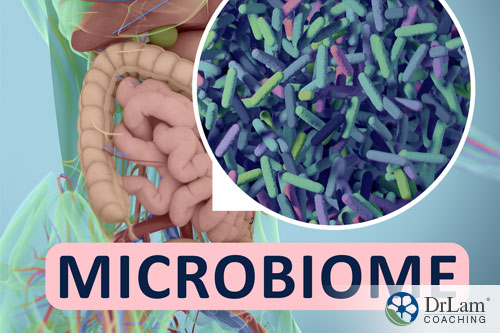 An image of the Microbiome
