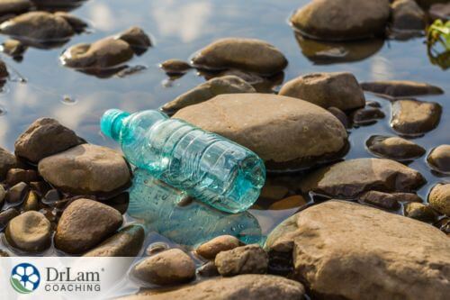 An image of a green water bottle in a wet rocky riverbed