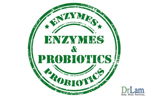How Enzymes and Probiotics increase healthy gut bacteria and may prevent cancer