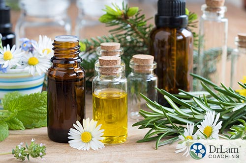 An image showing bottles of essential oils for cold sores and fresh herbs 