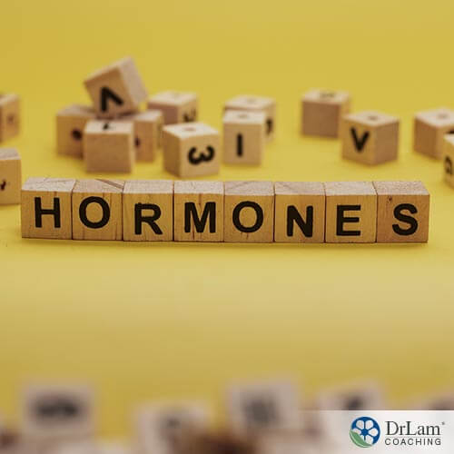 An image of wood letter blocks spelling out the word hormones