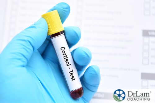 An image of a vial of blood with cortisol-test on it