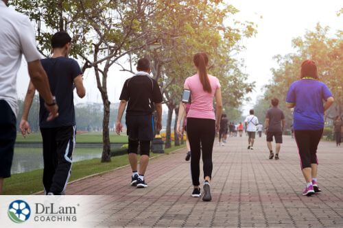 An image of individuals walking in a park