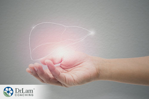 An image of a glowing outline of a liver being held by a hand
