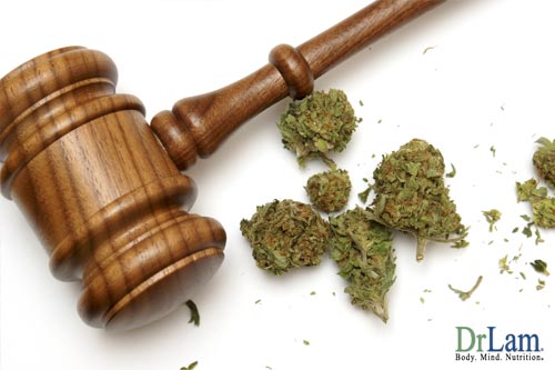 An image of cannabis buds and a judge's gavel