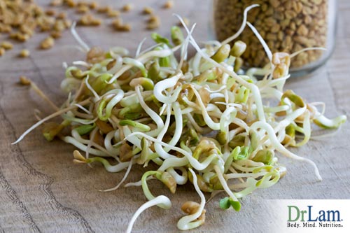 How other sprouted foods compare to sprouted wheat