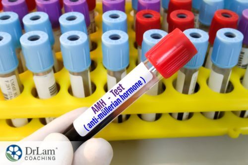 An image of blood test tubes with one labeled AMH test
