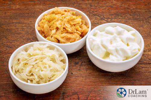 An image of fermented foods