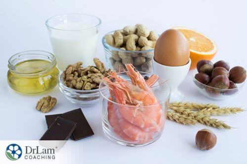 An image of common food allergens