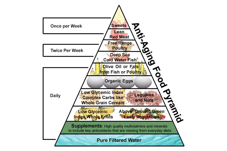 Anti-aging diet food pyramid