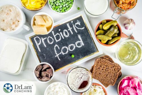 An image of probiotic foods