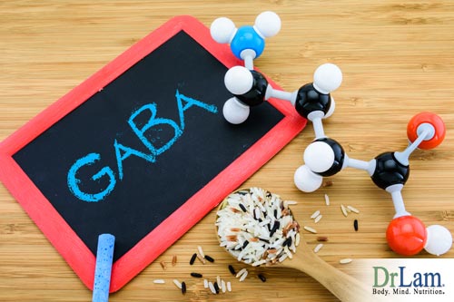 Gaba, a neurotransmitters function