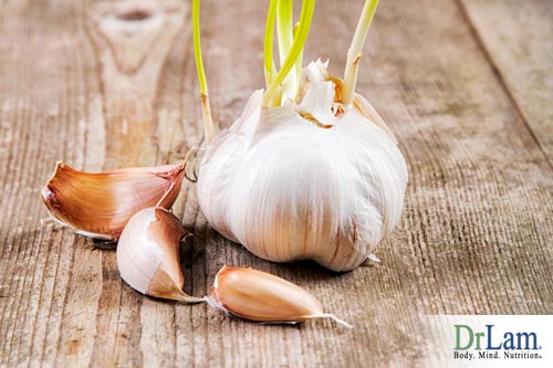 Garlic has many benefits such as natural blood pressure medicine