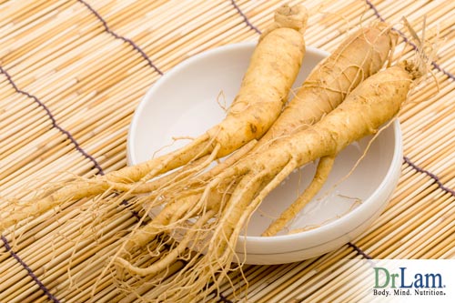 The ginseng plant and extracts