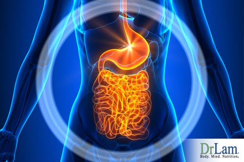 anti-inflammatory diet for gut balancing