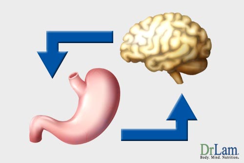 How the mind is effected by healthy stomach bacteria