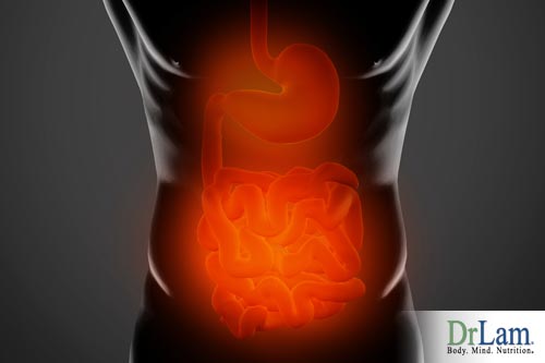 Inflammation and irritated bowel