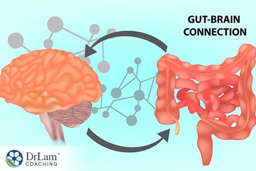 A diagram showing the gut-brain connection