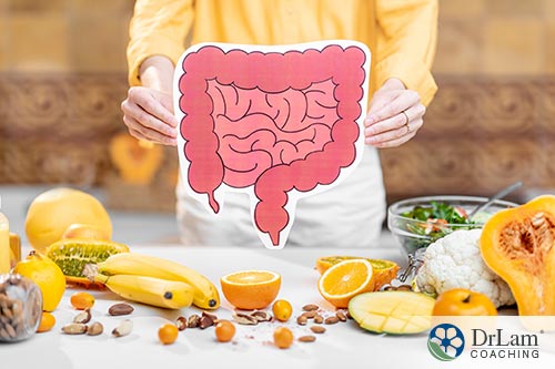 An image of a woman holding a picture of the gut with healthy whole foods around her on a table