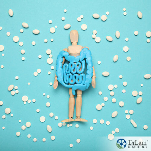 An image of a small wooden doll with blue clay intestines on top that is surrounded by different white supplements