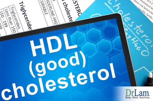 Bad and good cholesterol affected by adrenal fatigue/