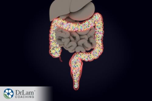 An image of the gut and microbiome