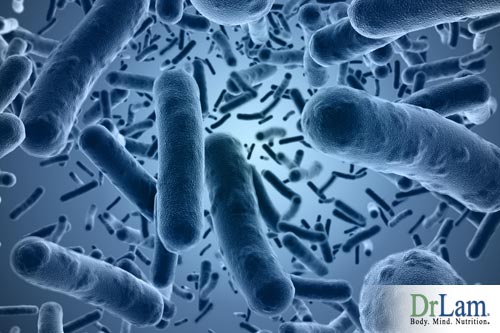 The human microbiome in the gut is one of the most populous in our body, keeping a balanced population of healthy gut bacteria is key to good health