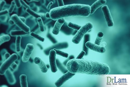 healthy stomach bacteria and microbiome