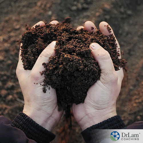 image of a man holding a garden soil