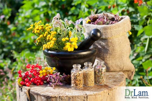 Herbs and health go hand in hand