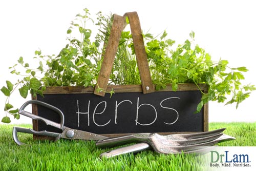 Some common unprocessed herbs for Adrenal Fatigue