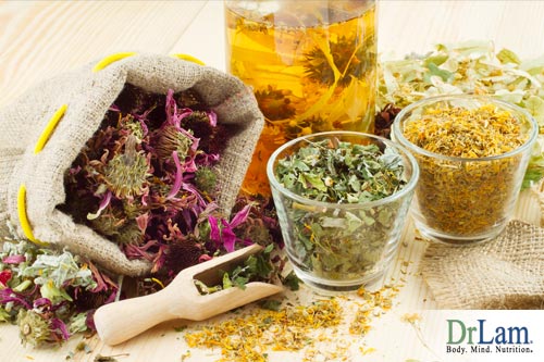 Herbs to shrink fibroids