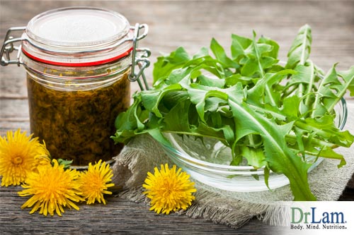 Herbs can be fermented, releasing medicinal properties that can help adrenal fatigue - read more to find out what is fermentation