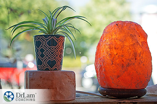 An image of a Himalayan salt lamp and spider plant