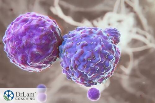 An image of mast cells together