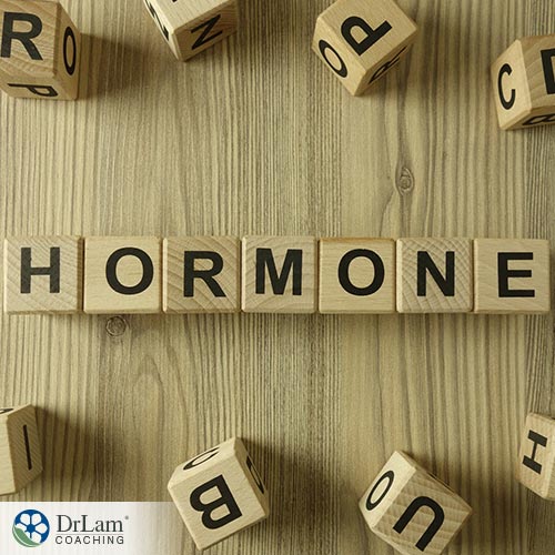An image of wood blocks spelling the word hormone