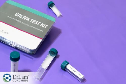 An image of a saliva cortisol test kit
