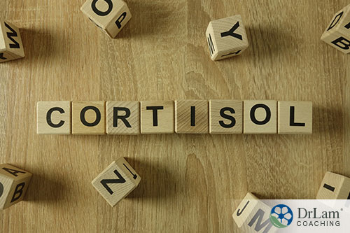 An image of wooden letter blocks spelling out the word cortisol