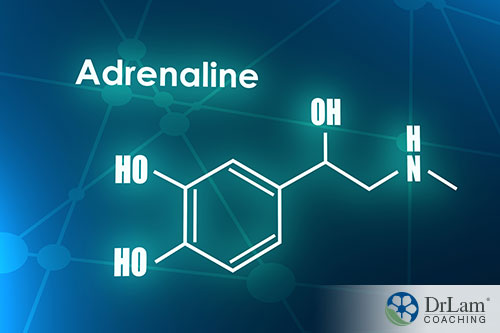 An image of the chemical compound of adrenaline