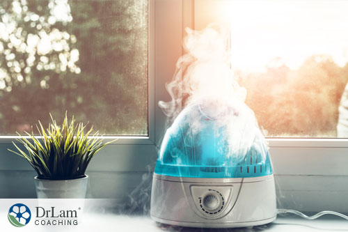 An image of a humidifier emitting vapor with bottles of essential oils and ferns around it