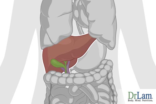 Improve liver function by understanding the signals it puts out when it is stressed.