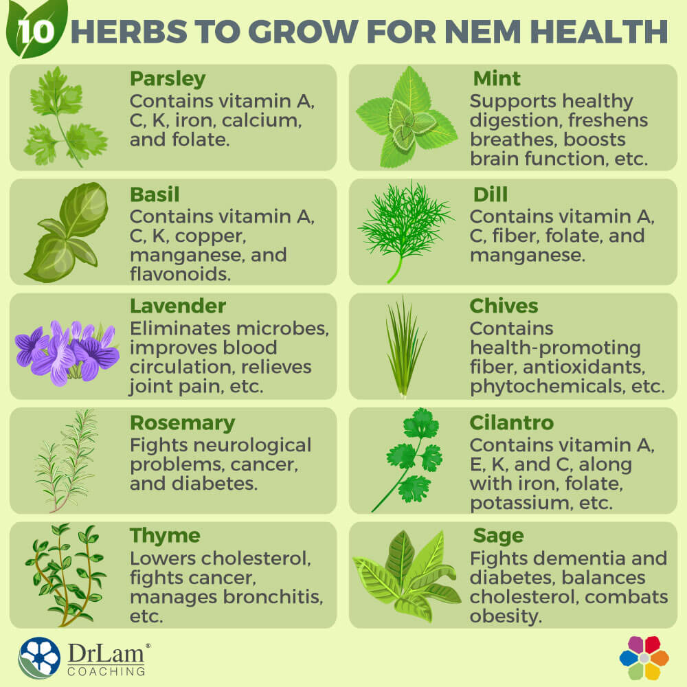Ten Herbs to Grow for NEM Health