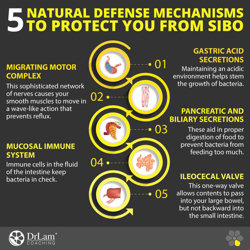 5 Natural Defense Mechanisms to Protect You from SIBO