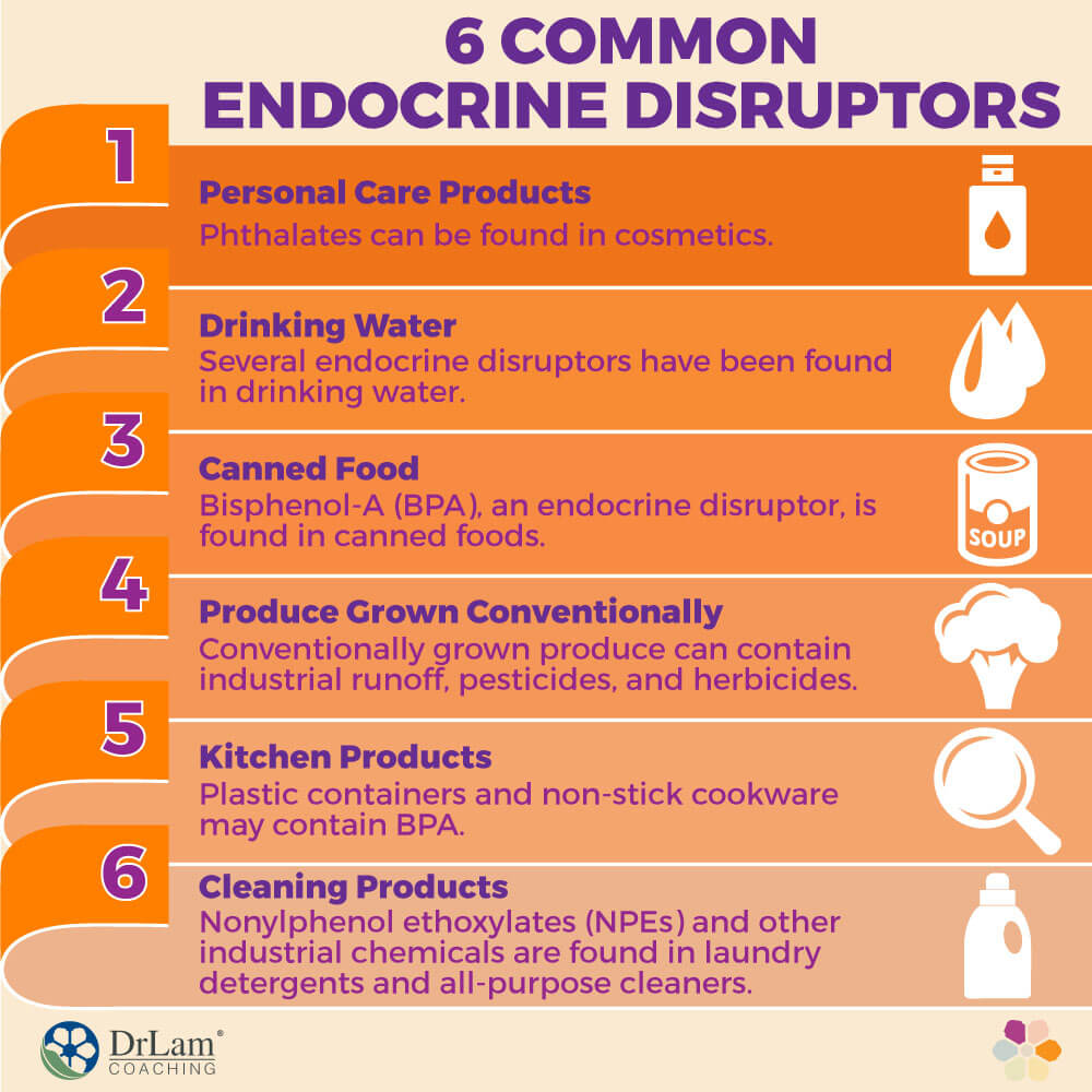 6 Common Endocrine Disruptors